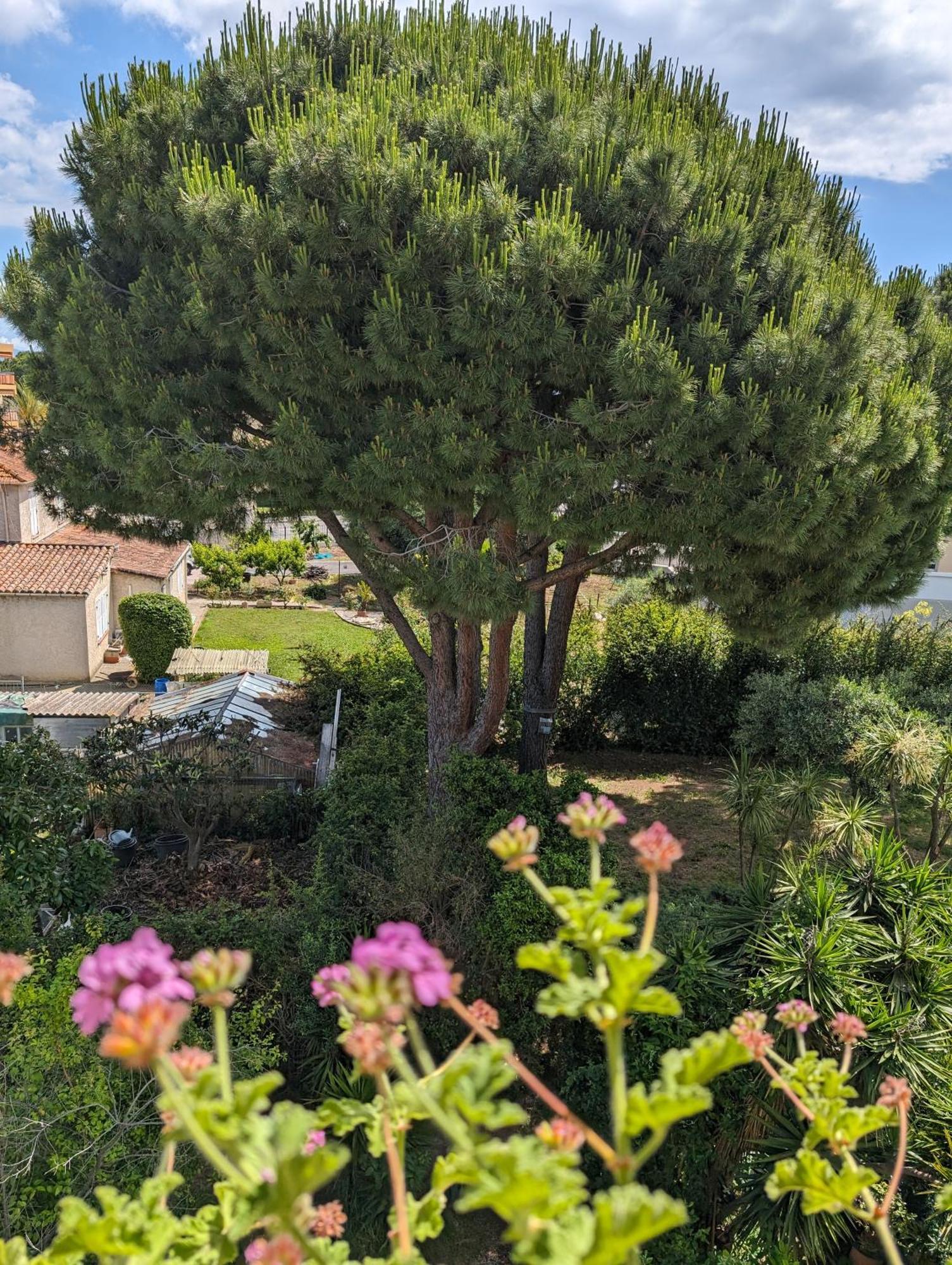 Studio Calme Dernier Etage Antibes Esterno foto